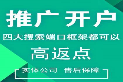 信息流广告精准投放：成功案例展示